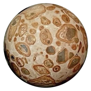 Leopardite Jasper 3x3 clear sticker