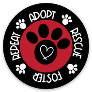 Adopt Rescue Foster Magnet