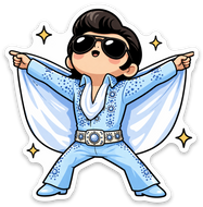 Rock N Roll Stage Star MAGNET