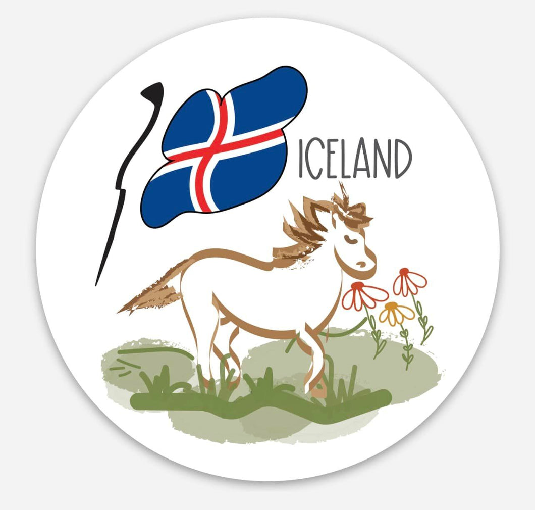 Fjord Horse Iceland