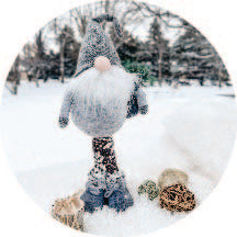 Magnet GLASS DOME Gnome