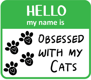 Hello Obsessed CatS Magnet