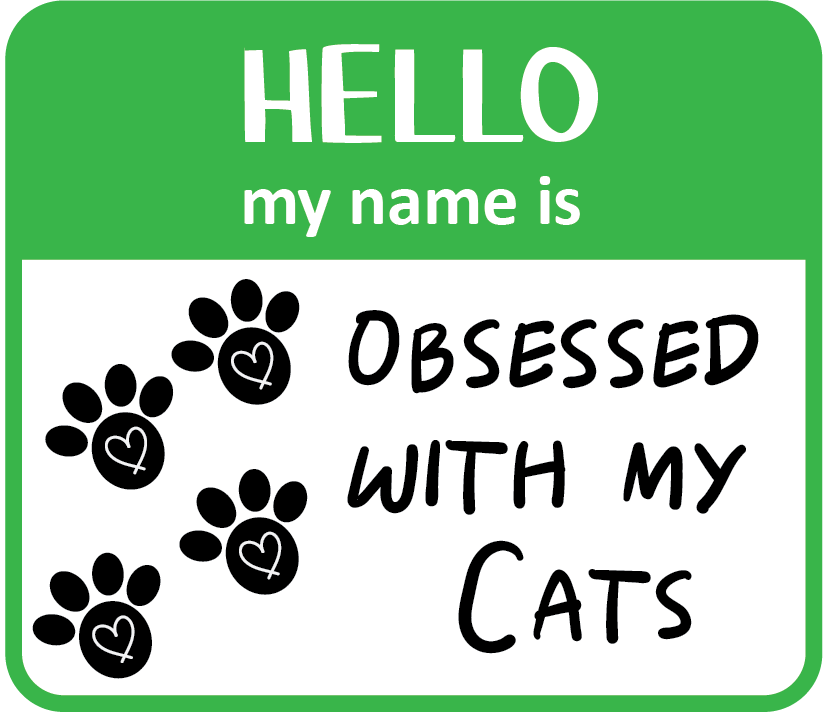 Hello Obsessed CatS Magnet