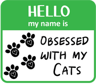 Hello Obsessed CatS Magnet