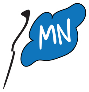 Flag MN MAGNET