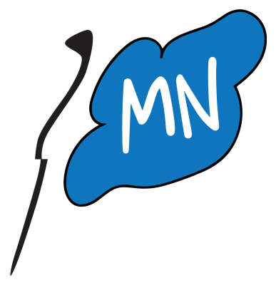 Flag MN MAGNET