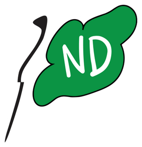 Flag ND MAGNET