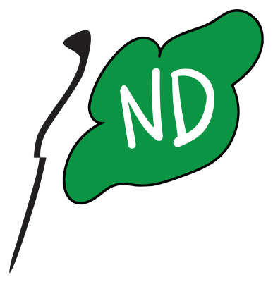 Flag ND MAGNET