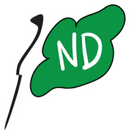 Flag ND MAGNET