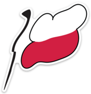 Poland Flag Vinyl Sticker | 10 pack
