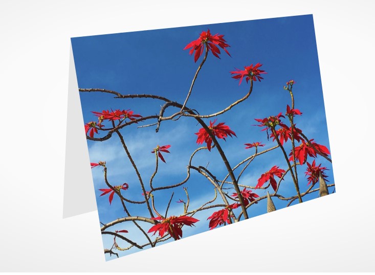 Notecard Red, White & Blue