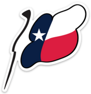 Texas Flag Vinyl Sticker | 10 pack