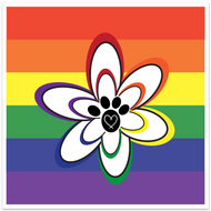 Rainbow Paw 6x6 Sticker