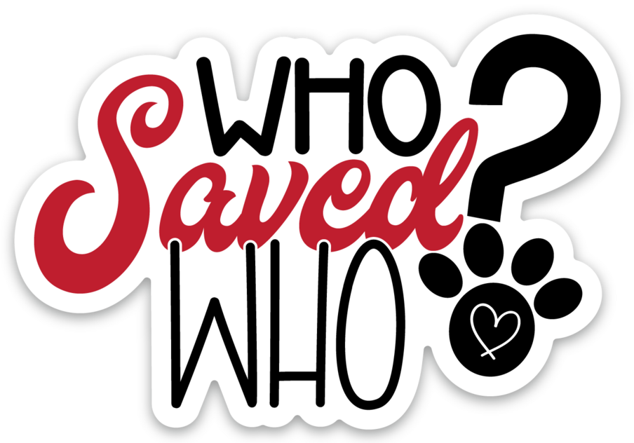 Who Saved Who 3x2