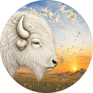 Buffalo Dandelion WHITE magnet