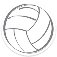 Volleyball sticker