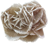 Clear 2x2 Sticker Desert Rose
